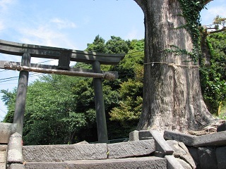 城山神社ー１.JPG